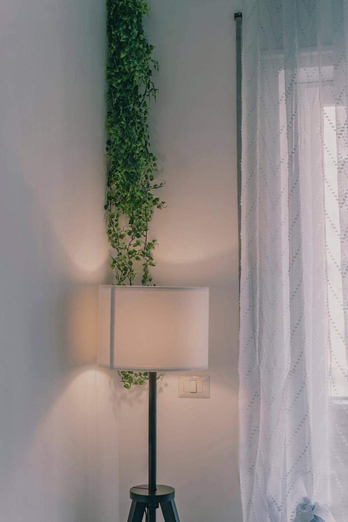Apartment Ama Roma 5 Minuti Dal Colosseo Rom